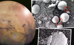 现代天文学家推测，火星上酷似“蘑菇”的东西究竟是什么？
