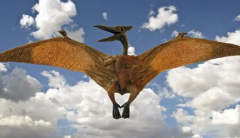翼龙是一种已经灭绝的爬行类，现代研究中共有多少个品种？