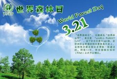 3月21日是什么节日？世界森林日的来历和意义