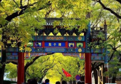 京城的国子监中，为什么种了那么多槐树？