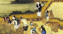 历史上明朝的农业经济发展的如何？