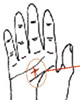 神秘莫测的纹路图解：手掌有十字纹的含义