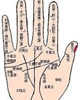 手相五大线纹手相定义：手相五大线纹都是哪五条