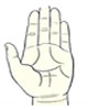 掌纹图解：史上最罕见的手相掌纹图解大全
