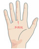 掌纹的秘密全图解，教你怎么用手掌纹算命