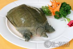 传统中国十大禁菜之一：铁板甲鱼图片
