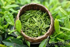 绿茶文化介绍之绿茶的种类有哪些