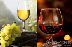 品酒须知：红酒和葡萄酒的区别有哪些