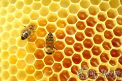 蜂蜜的作用与功效，你知道多少
