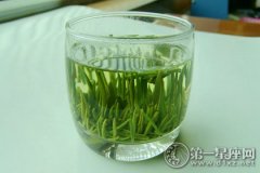 工艺考究的竹叶青茶文化