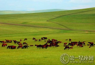 内蒙古高原