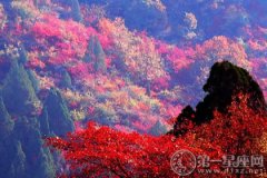 省级风景名胜区：铜川香山