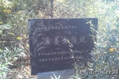 淄博非物质文化遗产名单