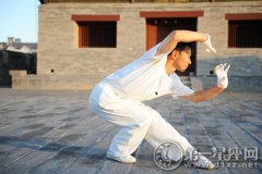 汉族传统拳术之一：龙形拳