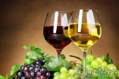 赫赫有名的甘肃葡萄酒文化