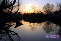 杭州冬至日太阳高度角多大？
