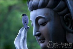 佛教文化说，三皈依是什么意思
