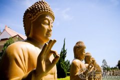佛教文化详解：佛教四不依是什么
