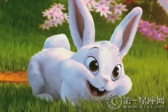 中国人为什么叫兔子，代表什么？