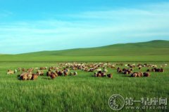 异族风情，内蒙古最美的草原