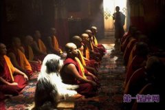 佛教教义的核心理念是什么