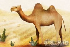 用故事讲道理：骆驼和宙斯的故事