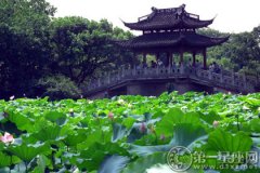 杭州夏日的绝美景观，曲院风荷的由来