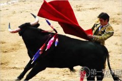 2017年西班牙斗牛节是什么时间