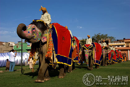 泰国大象节是什么时候