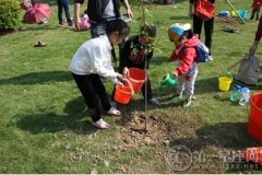 小学植树节活动方案