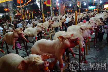 广东新亨摆猪羊习俗