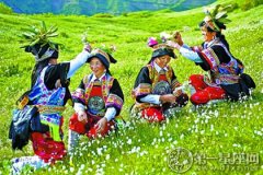 富有民族特色的甘南博峪藏区采花节