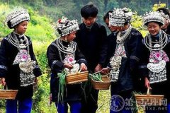 侗族的传统节日有哪些之讨葱蒜节
