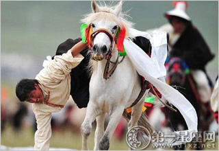 香格里拉赛马节图片集锦