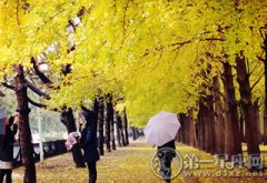 时令旅游必知：五个北京赏秋好去处