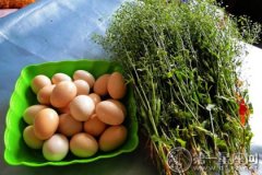 最廉价的灵丹妙药：三月三吃荠菜煮鸡蛋