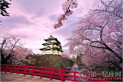 日本樱花节图片