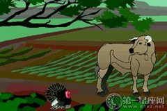 高傲引来的死神：火鸡和公牛的故事