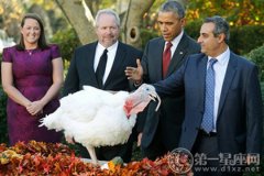 感恩节赦免火鸡习俗起源于哪位美国总统？