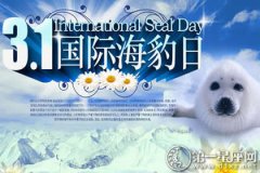 3月1日是什么节日：国际海豹日