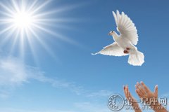 国际和平日短信，和平日祝福语