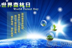 世界森林日的来历是什么