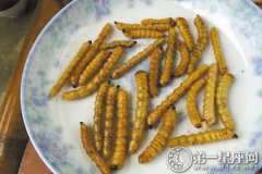 台州端午节习俗：要吃虫子