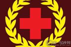 历年世界红十字日主题是什么
