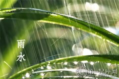 <b>初春农业指南：雨水时节的农事活动</b>