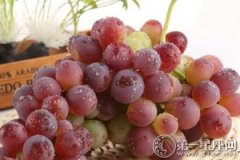 夏至红葡萄品种特性：大粒极早熟