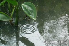 2016年上海梅雨季节持续多久：约15天