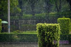 详解：梅雨季节特点是什么？