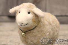 属羊的和属龙的真的合适吗？