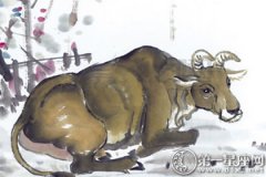 杨清华：丙申年猴年属牛的运程